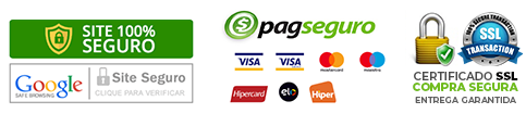 Site 100% Seguro
